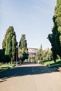 Trees in park with city in background