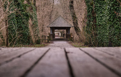 Footpath amidst trees and building