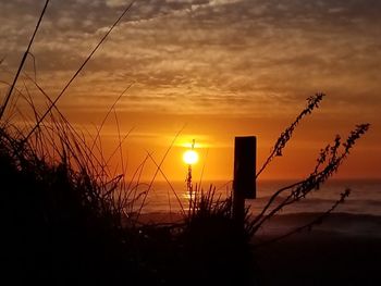 Silhouette plants against sea during sunset