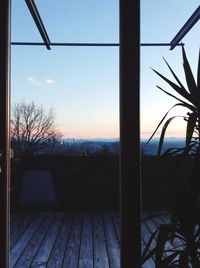 View of trees at sunset