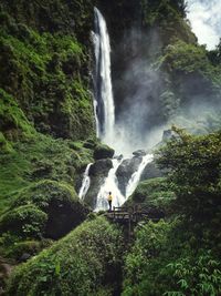 Scenic view of waterfall in forest