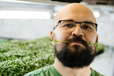 Young male farmer growing microgreens on his indoor vertical garden. small business owner