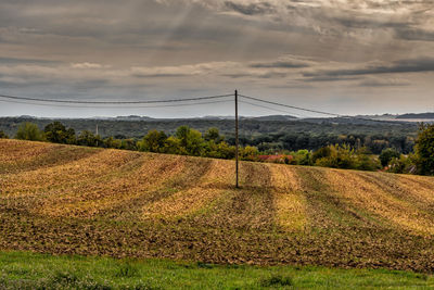 Scenic view of field against sky