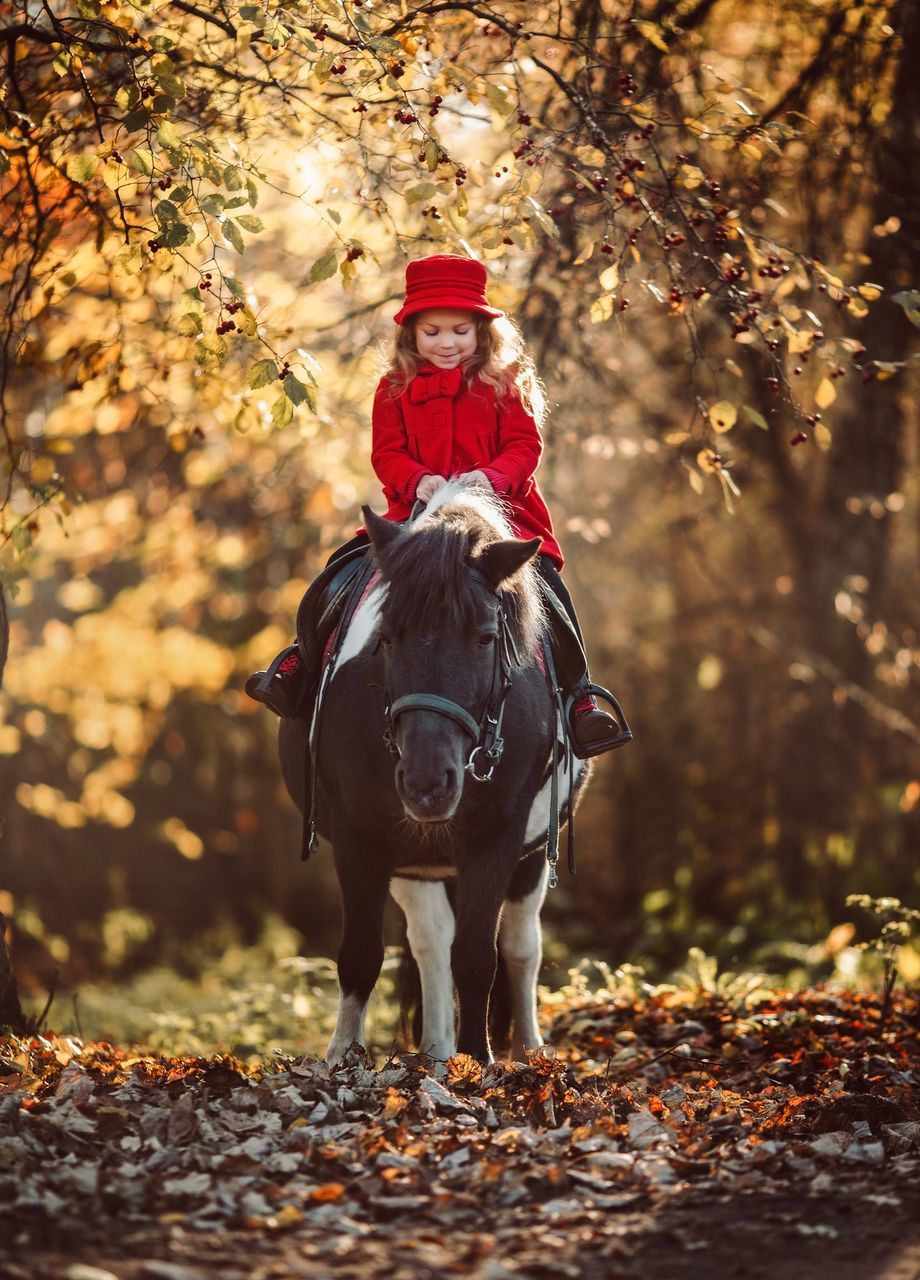 autumn, horse, mammal, animal, leaf, domestic animals, tree, plant part, animal themes, one person, nature, forest, adult, one animal, pet, child, riding, full length, clothing, land, animal sports, activity, smiling, plant, childhood, horseback riding, animal wildlife, happiness, portrait, outdoors, teenager, women, lifestyles, emotion, hat, livestock, equestrian sport, female, looking at camera, leisure activity, front view, day, beauty in nature, young adult