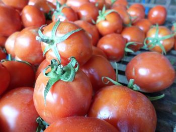 Full frame shot of tomatoes for sale