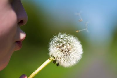Close-up of girl blowing dandelion outdoors
