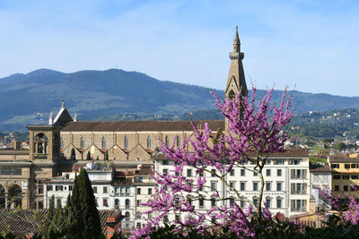 High angle view of flowering trees and buildings against sky