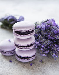 French macarons with lavender flavor and fresh lavender flowers