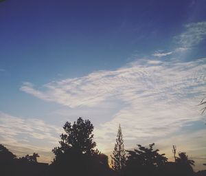 Low angle view of trees against sky