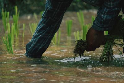 Low section of man in water