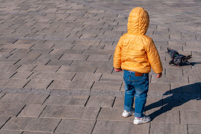 Rear view of girl standing on street looking at pigeon