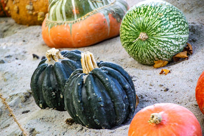 High angle view of pumpkins