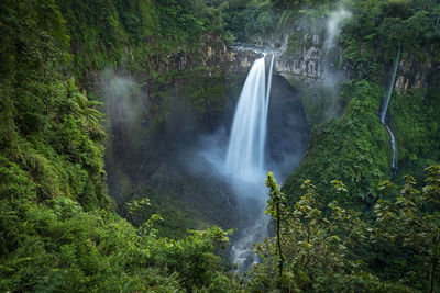 Scenic view of waterfall in forest