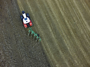 High angle view of agricultural field