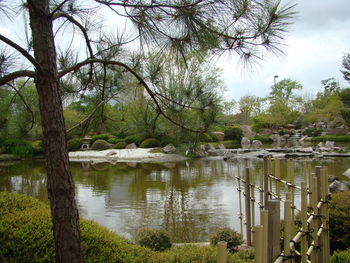 Scenic view of lake in forest against sky