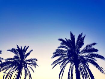 Low angle view of palm tree against clear blue sky