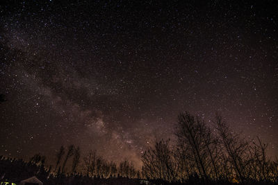 Star field against sky at night