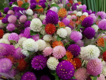 Full frame shot of multi colored flowers in market
