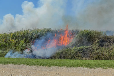 Panoramic shot of bonfire on field against sky