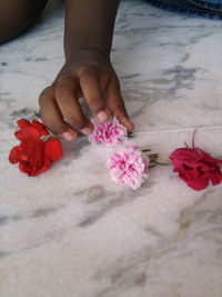 Close-up of hand holding red roses