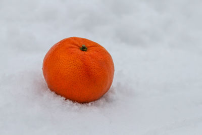 Close-up of orange apple on snow