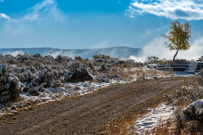 Panoramic shot of landscape against sky