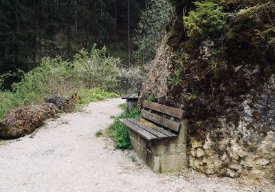 Bench in forest