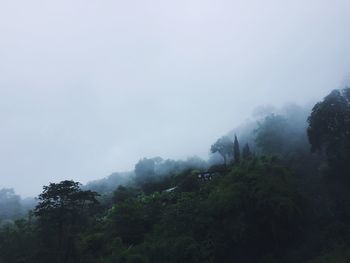 Trees and plants on land against sky