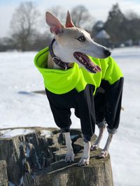 Man standing on field during winter