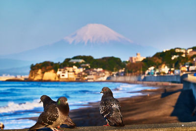 Scenic view of sea and snowcapped mountain against clear sky