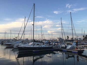 Sailboats moored at harbor against sky