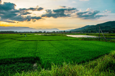 Scenic view of field against sky during sunset