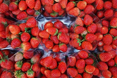 Strawberry fruit on market, colorful fruit enrich with vitamin