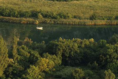 Scenic view of lake by trees in forest