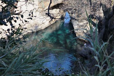 High angle view of man standing on rock in forest