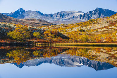 Mountain reflection on calm lake at autumn, norway. autumn colors