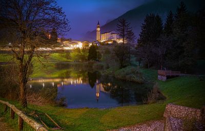 Trees by lake against illuminated buildings at night