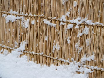 snow