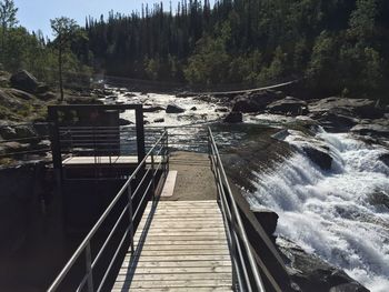 View of bridge over river in forest