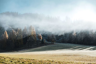 Scenic view of landscape against sky during winter