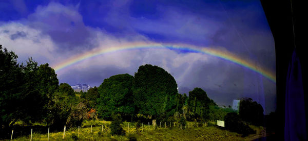 Scenic view of rainbow over trees against sky