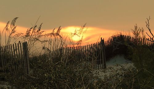 Scenic view of landscape against sky at sunset