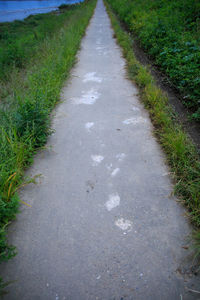 High angle view of footpath amidst field