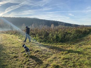 Dog on field against sky