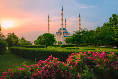 View of flowering plants by building against sky during sunset