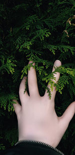 Cropped image of woman with green leaves