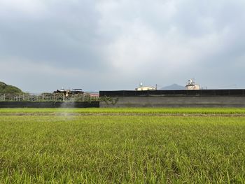 Scenic view of agricultural field against sky