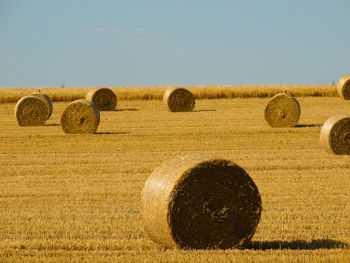 Hay bales on field against sky
