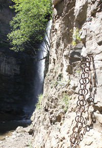 View of trees on cliff