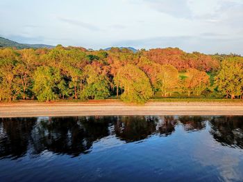 Scenic view of lake by trees against sky